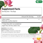 Load image into Gallery viewer, FreshDrinkUS, Premium 30 Lotus Leaf Tea Bags, 100% Natural &amp; Pure from Lotus Leaves. Loose Leaf Lotus Herbal Tea. Made with Eco-Conscious Tea Bags. No Sugar, No Caffeine, No Gluten, Vegan.