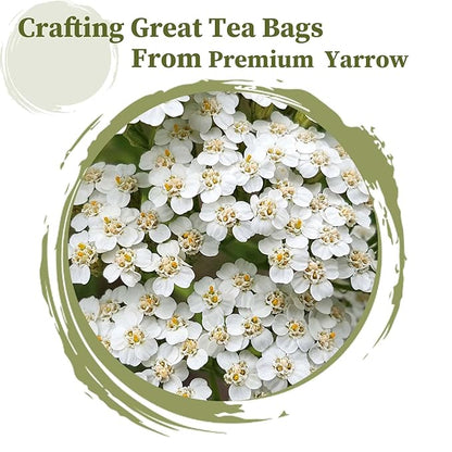 FullChea - Yarrow Tea Bags, 50 Count, 2g/bag - Premium Yarrow Herb - Non-GMO - Caffeine-free - Aid Digestion & Boost Immunity