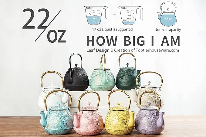 TOPTIER Tea Kettle for Stove Top, Cast Iron Teapot Stovetop Safe with Infusers for Loose Tea, 22 oz, Light Green