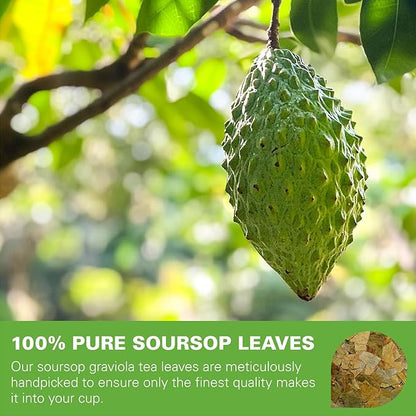 WT WEETEE Soursop Leaves Tea Bags 50 Count, Made with 100% Pure Soursop Graviola/Guanabana Leaves, Natural Caffeine-free Herbal Tea, Corn Fiber Tea Bags