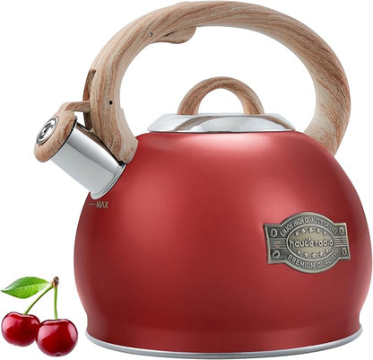 Tea Kettle Stovetops, 2.7 Quart Food Grade Stainless Steel Water kettles for Stove Top Teatop with Anti-hot Ergonomic Handle,Suitable for All Heat Sources