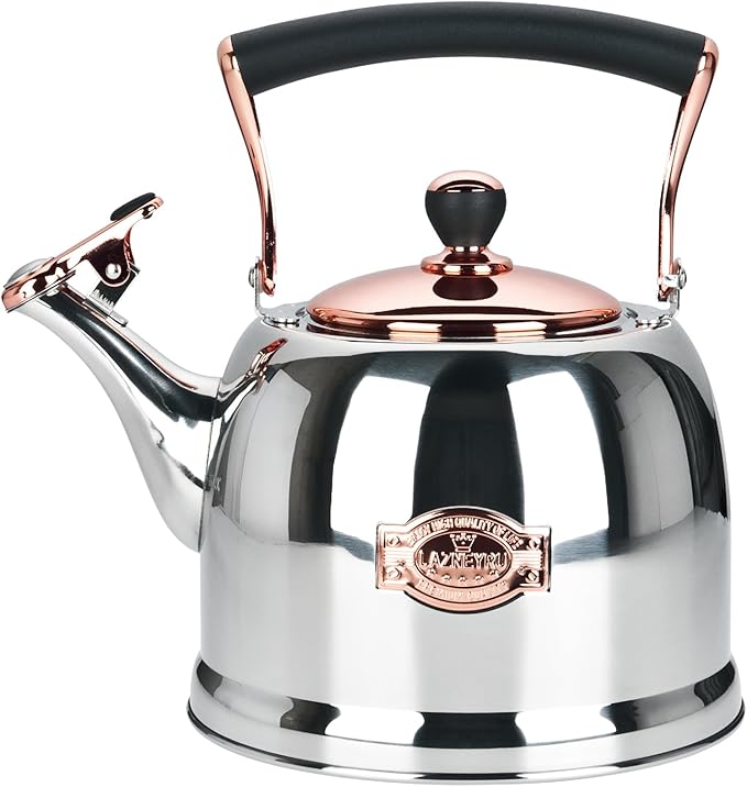 Tea Kettle Stainless Steel Teapot, Stainless Steel Teakettle for Stove Top with Heat Proof Ergonomic Handle 3.0 Quart