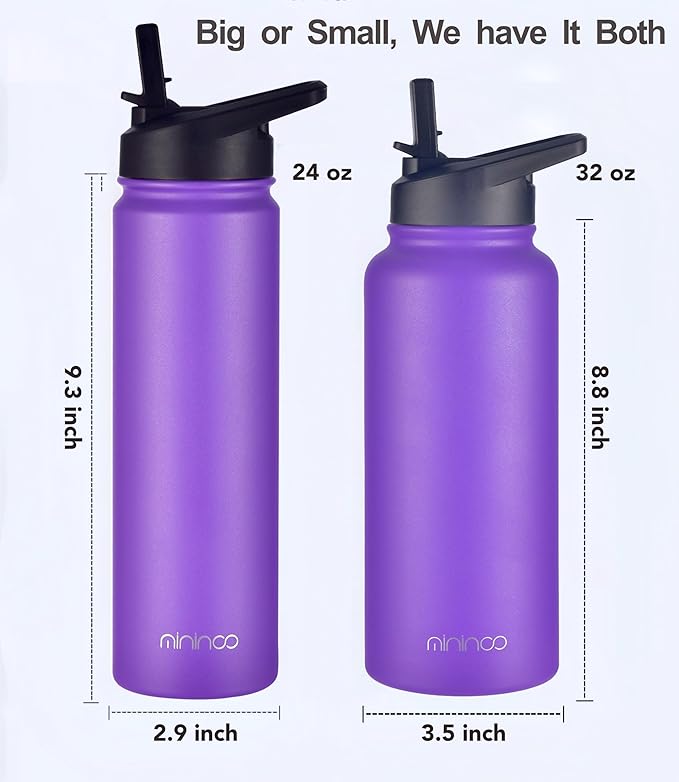 mininoo 24 oz Insulated Water Bottle with Straw Lid, Stainless Steel Double Wall Vacuum, Leak Proof, BPA Free, Keep Cold for 24H & Hot for 12H-2 pack(Purple)