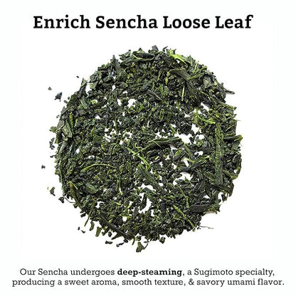 SUGIMOTO TEA Japanese Sencha Green Tea Loose Leaf 3.5 oz (100 g) Pack of 1