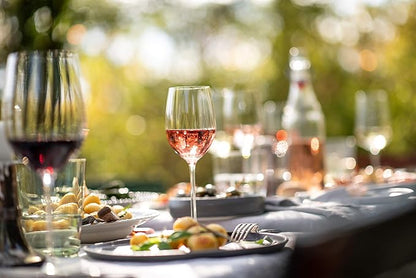 Zwiesel Glas Tritan Prizma Collection Riesling White Wine Glass, 10-Ounce, Set of 6