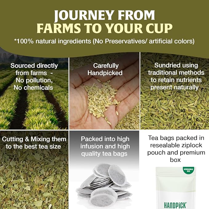 HANDPICK Fennel Seed Tea Bags (100 Count), Authentic Indian Origin with Natural Aroma & Sweetness | Naturally Support Digestion & Immune System | 100% Pure, Non GMO & Caffeine Free