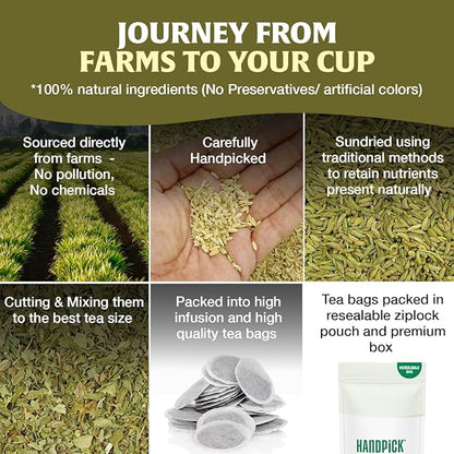 HANDPICK Fennel Seed Tea Bags (100 Count), Authentic Indian Origin with Natural Aroma & Sweetness | Naturally Support Digestion & Immune System | 100% Pure, Non GMO & Caffeine Free