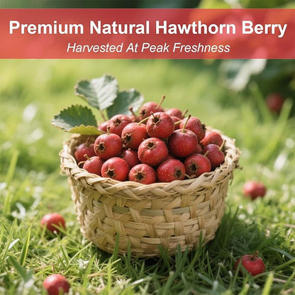 TEARELAE - Hawthorn Berry Tea, 30 Count - Pure Hawthorne Berries Herbal Tea Bags - Sweet and Tangy Flavor - Aid Digestion - Non-GMO - Caffeine-Free