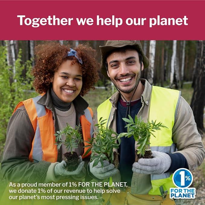 Opportuniteas Organic Kidney Cleanse Detox & Repair Tea - Matcha Green Tea, Cranberry, Lemon & Ginger. 4 Cleansing Superfoods For Drinks. Vegan & Non-GMO - 60 Servings