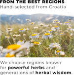 Load image into Gallery viewer, Chamomile Tea Bags – 100% Whole Chamomile Flower, Handpicked in Croatia, 1500mg per Bag, Biodegradable Pyramid Bags, Caffeine-Free, Calming Tea, Floral Aroma, 100 Count