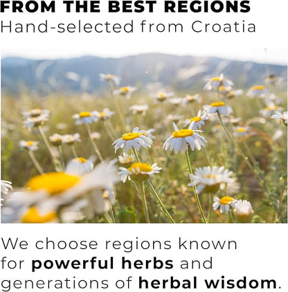 Chamomile Tea Bags – 100% Whole Chamomile Flower, Handpicked in Croatia, 1500mg per Bag, Biodegradable Pyramid Bags, Caffeine-Free, Calming Tea, Floral Aroma, 100 Count