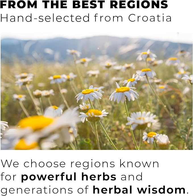 Chamomile Tea Bags – 100% Whole Chamomile Flower, Handpicked in Croatia, 1500mg per Bag, Biodegradable Pyramid Bags, Caffeine-Free, Calming Tea, Floral Aroma, 100 Count