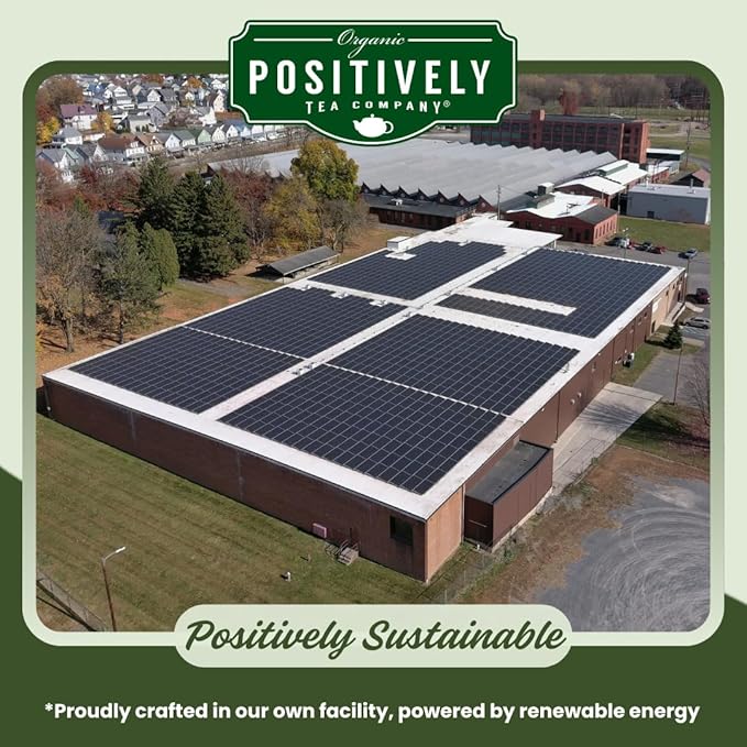 Organic Positively Tea Company, Strawberries and Cream, Green Tea, Loose Leaf, 16 Ounce