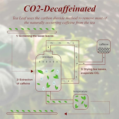 WT WEETEE Decaf Vanilla Caramel Black Tea, 50 Count CO2 Decaffeinated Black Tea Bags | Caramel Vanilla Flavored | Smooth & Mellow Dessert-Inspired