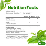 FreshDrinkUS, Premium Green Ginger Tea | 75 Tea Bags | Sencha Green Tea with Ginger, Lemongrass, Turmeric, Hibiscus & Peppermint | Natural Herbal Blend | Comfort & Refreshing, Vegan