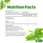 Load image into Gallery viewer, FreshDrinkUS, Premium Green Ginger Tea | 135 Tea Bags | Sencha Green Tea with Ginger, Lemongrass, Turmeric, Hibiscus &amp; Peppermint | Natural Herbal Blend | Comfort &amp; Refreshing, Vegan