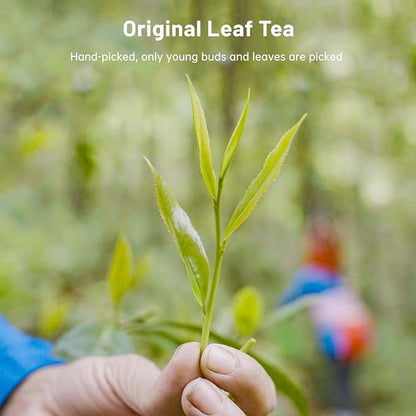 iTeaworld Chinese Green Tea Sampler - 6 Flavors Green tea loose leaf Bag - Chinese Tea With Mediumly Caffeinated, Sugar Free Loose Leaf Tea for Health Come with 20 Tea Bags, 3.5oz