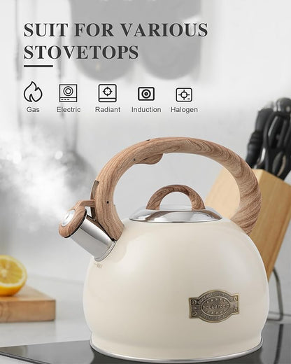 Tea Kettle Stovetop,2.7QT Stainless Steel Whistling Teapot for Stove Top Aesthetic,Portable Water Kettles Camping with Anti-hot Silicone Handle,Suitable for All Heat Sources,Milky White