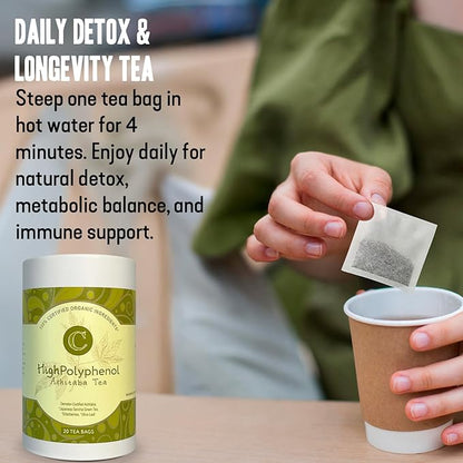 High‑Polyphenol Ashitaba Tea Blend – Demeter Certified Biodynamic U.S. Organic Ashitaba,Sencha Green Tea, with Elderberry & Olive Leaf – 20 Compostable Bags – Perfect for Detox, Metabolic Support