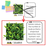 Load image into Gallery viewer, Satoen Authentic Japanese Ceremonial Grade Matcha Powder - BULK BAG - 100% Spring Premium First Harvest - Matcha Crafted for Café &amp; Businesses (1000g/2.2lbs)