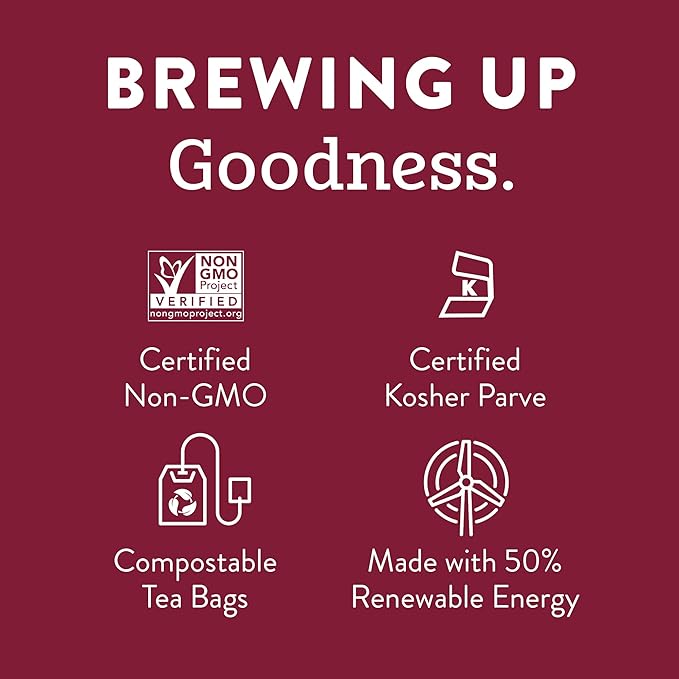 Stash Tea Sunny Orange Ginger Herbal Tea, Box of 100 Tea Bags