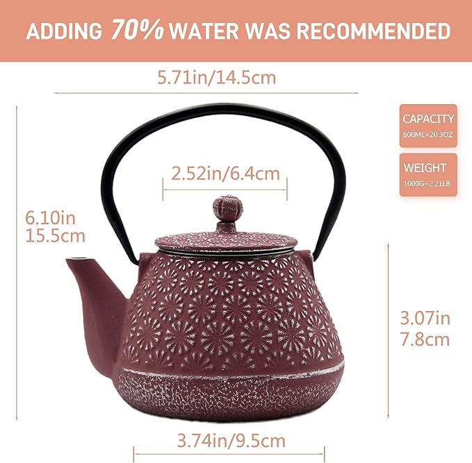Cast Iron Teapot, 20.3oz Small, Enameled Interior, Stainless Steel Infuser for Loose Tea (Pink Gerbera Pattern)