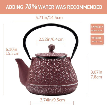 Cast Iron Teapot, 20.3oz Small, Enameled Interior, Stainless Steel Infuser for Loose Tea (Pink Gerbera Pattern)