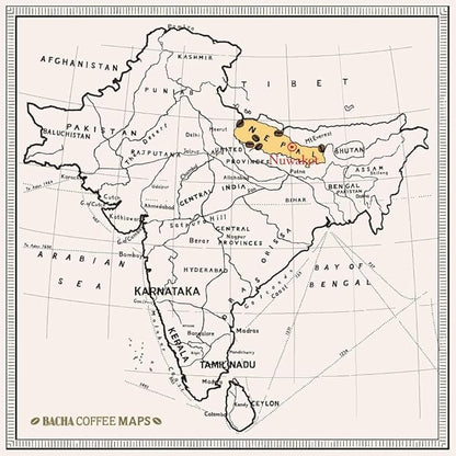 Bacha Coffee | Mount Everest Nepal Single Origin, 100% Arabica Specialty Coffee Beans, Medium Dark Roast, x12 Individually Wrapped Single Serve Filter Bags