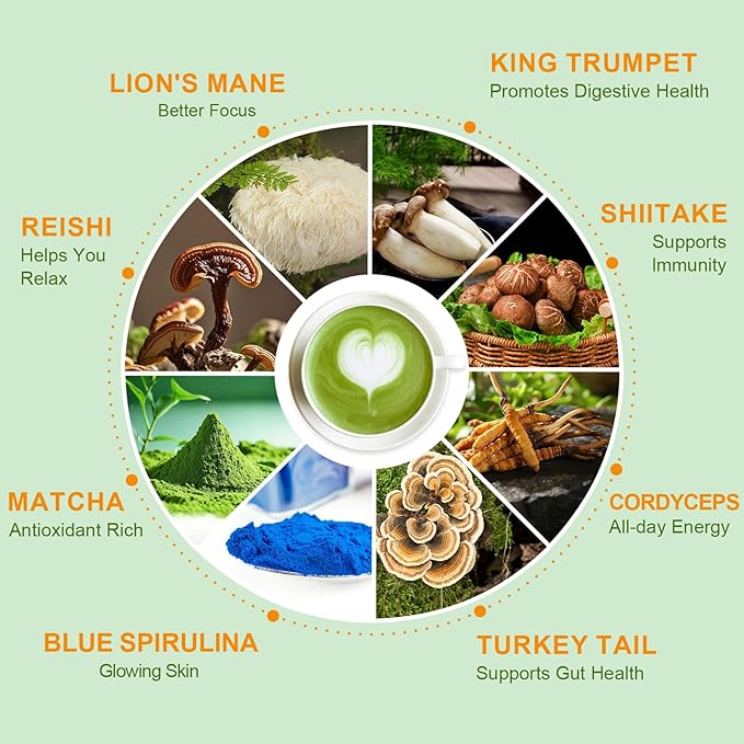 Mushroom Matcha with 6 Adaptogenic Mushrooms and Ceremonial-Grade Matcha, MCT Oil, Coconut Milk Powder for Better Energy, Focus, Digestion and Immunity, 30 servings