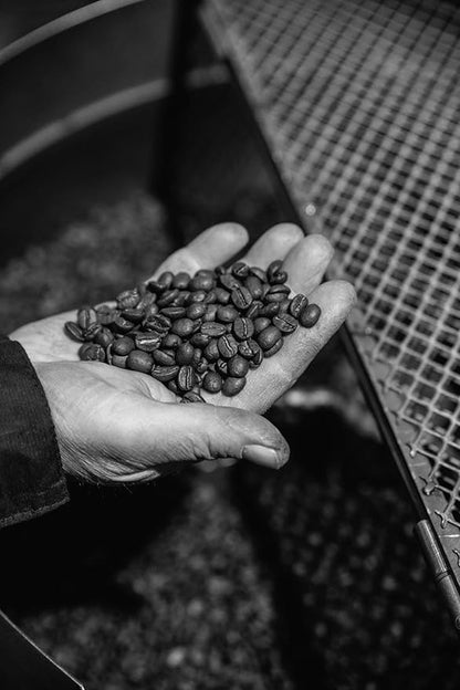 Bristot Espresso Cremoso Italiano Ground Coffee – Medium Roast, Rich & Smooth – 8.8oz (250g) Bag – Italian Ground Espresso for Home Machines (Pack of 2)