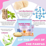 Load image into Gallery viewer, Super Yerba Mate Instant Powder Variety Pack - Citrus, Lemon &amp; Grapefruit Flavors | 30 Servings Each | Energy Boost, Mental Clarity, Gut Health &amp; Satiety | Prebiotics, Probiotics, Hot &amp; Cold Brew, Portable (Citrus)