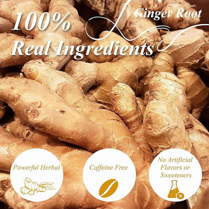 WT WEETEE Ginger Tea Bags, 100 Count Pure Ginger Root Tea, Warm & Spicy, Natural Caffeine Free Herbal Tea, No Spices & Flavors