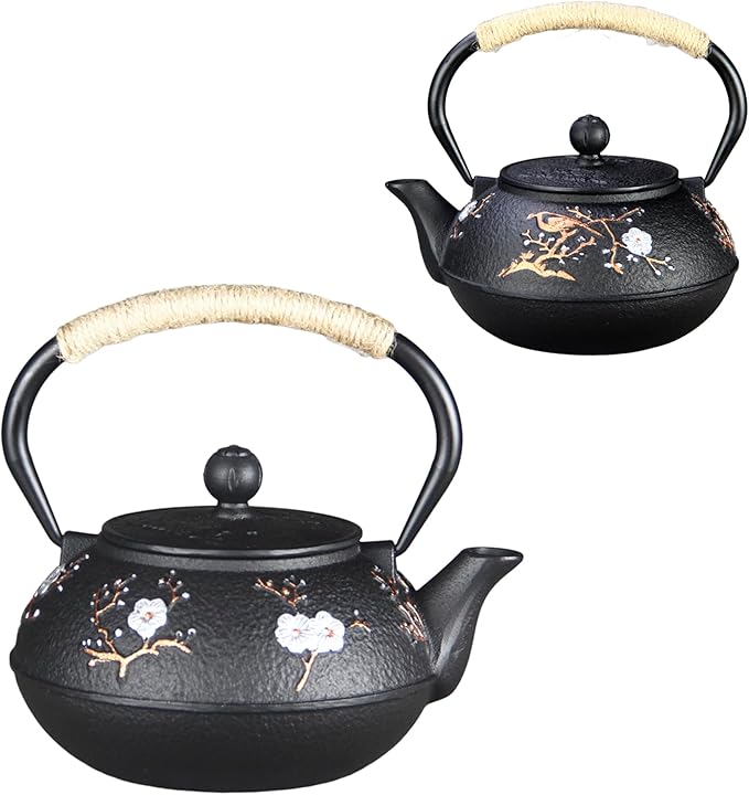 Cast Iron Teapot SECHUDO Teapot for Stovetop Safe Coated with Enameled Interior,Japanese Beautiful Tea Kettle with Stainless Steel Infuser for Loose Tea (30.4oz Plum Blossoms and Bird Pattern)