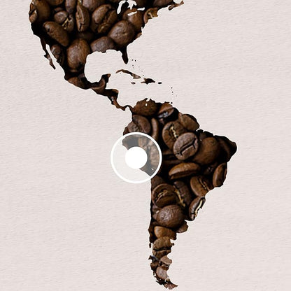 Lavazza ¡Tierra for Amazonia Whole Bean Coffee, Medium Roast, 100% Arabica, 10.5 oz Bag (pack of 6)