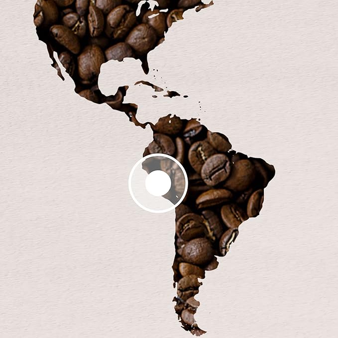 Lavazza ¡Tierra for Amazonia Whole Bean Coffee, Medium Roast, 100% Arabica, 10.5 oz Bag (pack of 6)