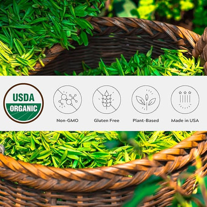 One Farm by WAAYB Organic Ceremonial Matcha Powder, 20 Servings, Single Estate Green Tea Powder, Non-GMO, Fair-Trade, Vegan, Gluten Free, Clean Energy and Focus in a Resealable Glass Jar