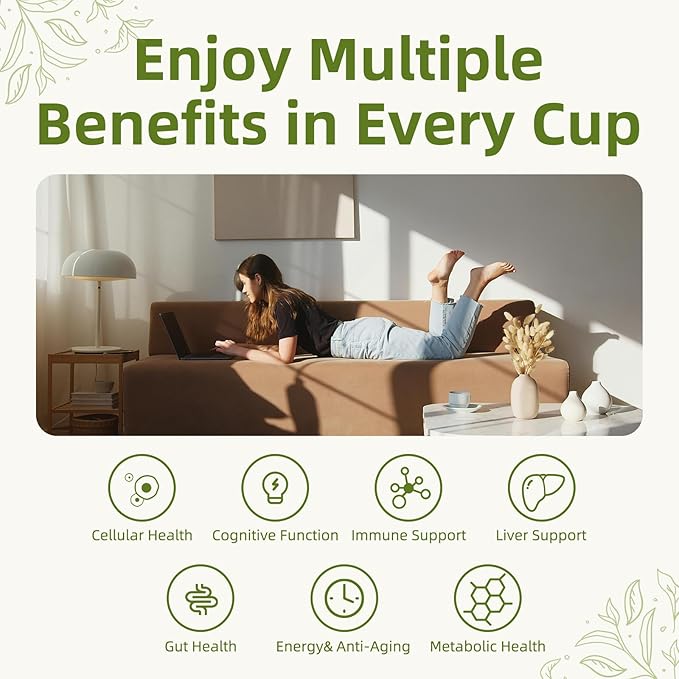 Mushroom Matcha Powder Latte Mix, 7.4 Ounce, 7 Superfood Mushrooms with 25% Beta-Glucans, Lions Mane, Reishi, Chaga, Coconut Powder, Ceremonial Grade Matcha Tea