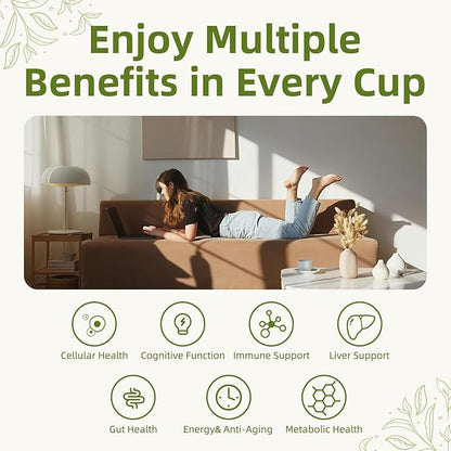 Mushroom Matcha Powder Latte Mix, 7.4 Ounce, 7 Superfood Mushrooms with 25% Beta-Glucans, Lions Mane, Reishi, Chaga, Coconut Powder, Ceremonial Grade Matcha Tea