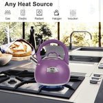 Load image into Gallery viewer, Tea Kettle for Stovetop, Food Grade Stainless Steel Water Kettle, Tea Pot for Home &amp; Kitchen, 3.1 Quart