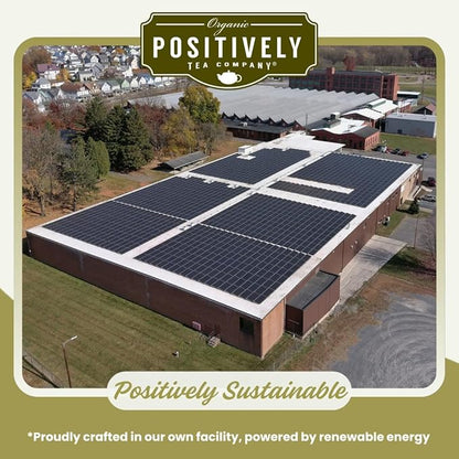 Organic Positively Tea Company, Yerba Mate Tea Bags (Unsmoked), 100 Count, Eco-Friendly Tea Bags, Non-GMO