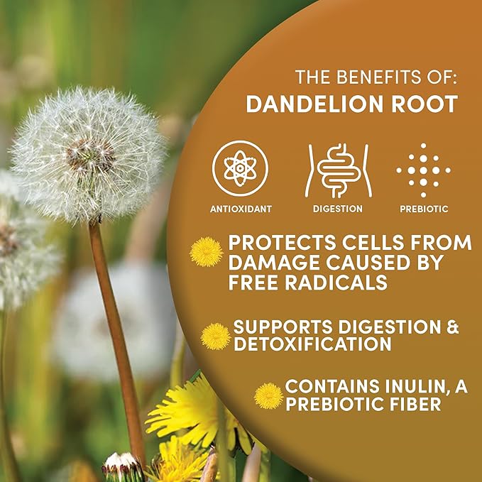 Worldwide Botanicals Organic Dandelion Root – 1 lb - Cut & Sifted – Raw, Unroasted - Taraxacum officinale - Raíz de Diente de León – Perfect Prebiotic, Detox, Cleansing, Digestive Tea - 16 ounces