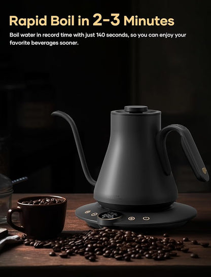 Electric Kettle, Gooseneck Electric Kettle, ±1℉ Temperature Control, Stainless Steel Inner, Quick Heating, for Pour Over Coffee, Brew Tea, Boil Hot Water, 1500W/0.9L Dark Gray