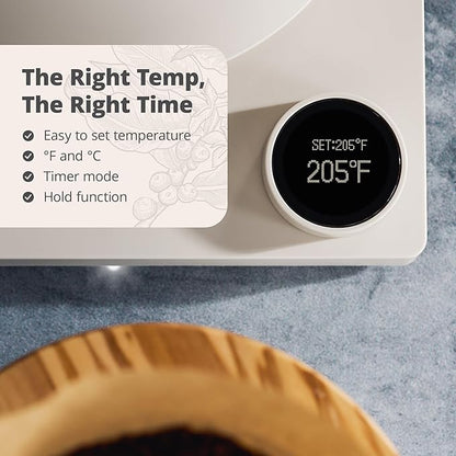 Greater Goods Electric Gooseneck Kettle, 1200W Stainless Steel with Precision Temperature Control, Fast Boil, BPA-Free, Ideal for Pour Over Coffee and Tea,1L (Birch)