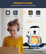 Load image into Gallery viewer, Tea Kettle, 2 Quart Stainless Steel Whistling Tea Kettle, Stovetop Whistling Teakettle Tea Pots for Stove Top with Ergonomic Folding Handle, Small Teapot, Water boiler for Tea, Coffee (Silver)