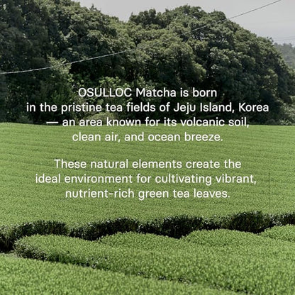 OSULLOC Volcanic Isle Matcha Powder, Ceremonial Grade Korean Matcha for lattes, Green tea powder from Jeju island (1.41oz, 40g)