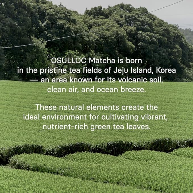 OSULLOC Volcanic Isle Matcha Milk Tea – Premium Jeju Matcha Latte Powder, Just Add Water, Creamy & Smooth, Large Pouch (10.6oz, 300g)