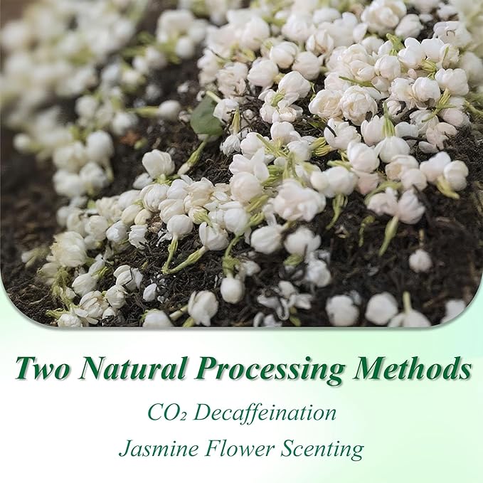 WT WEETEE Decaf Jasmine Green Tea Bags 100 Count, CO2 Decaffeinated Green Tea Infused with Jasmine Aroma | Resealable Kraft Bag | Brew Hot or Iced