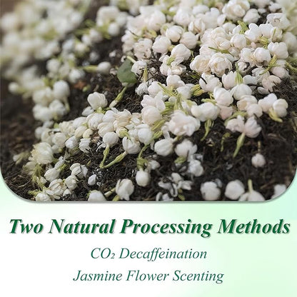 WT WEETEE Decaf Jasmine Green Tea Bags 100 Count, CO2 Decaffeinated Green Tea Infused with Jasmine Aroma | Resealable Kraft Bag | Brew Hot or Iced