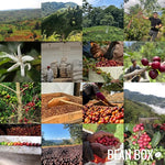 Load image into Gallery viewer, Connection - Cold Brew Blend - Roasted by Greater Goods Coffee Co. - Whole Bean Coffee - 10 Ounce Bag