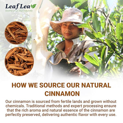 LeafLea 40 Cinnamon Tea Bags, 100% Natural Ground Cinnamon Stick Herbal Tea, Spiced and Warming Flavor for Relaxation, Caffeine-Free, Sugar-Free, Non-GMO, Vegan